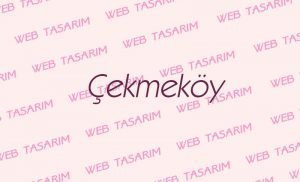 Çekmeköy Web Site Tasarım